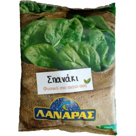 SPINACH GREEK LEAF