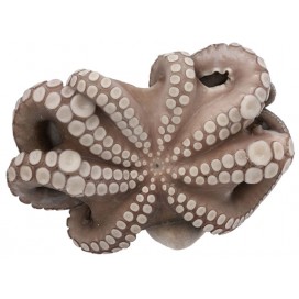 OCTOPUS T3 2Kg-3Kg