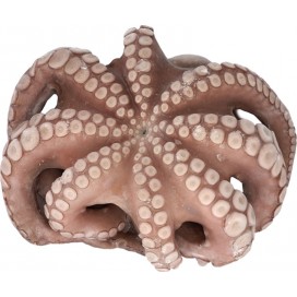 OCTOPUS T5 1,2Kg-1,5Kg