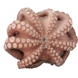 OCTOPUS T6 0,8Kg-1,2Kg