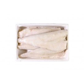 LIGHT SALTED PACIFIC COD FILLET 500/1000 I.Q.F