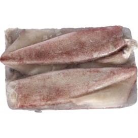 SQUID WHOLE ROUND U3