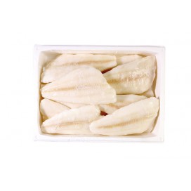 ARROW TOOTH FLOUNDER FILLET