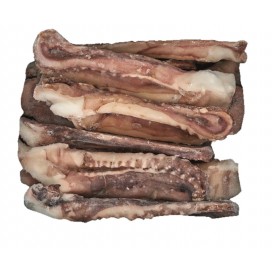 GIANT SQUID TENTACLES