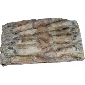 N.Z ARROW SQUID BLOCK S & 2M& M& L & 2L