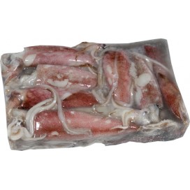 TAIWAN WHOLE ROUND SQUID U10