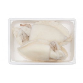 CUTTLEFISH WHOLE ROUND FILLET 1/2