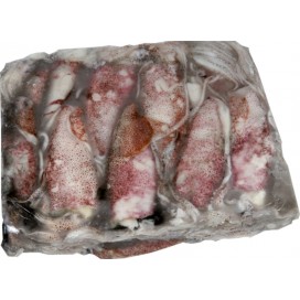 SQUID WHOLE ROUND 6/10