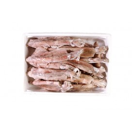 AFRICA SQUID WHOLE ROUND MEDIUM