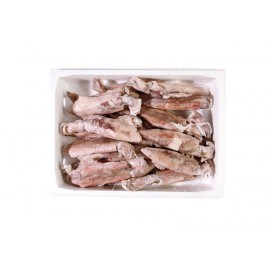 AFRICA SQUID WHOLE ROUND SMALL