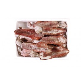 SQUID WHOLE ROUND U3 I.Q.F