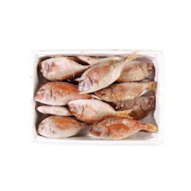 PORGY 200/400 & 400/600& 600/800&800/1000