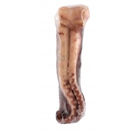 OCTOPUS TENTACLES