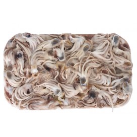 N.Z ARROW SQUID TENTACLES BLOCK