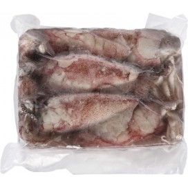 SQUID WHOLE ROUND 10/20 & 20/40