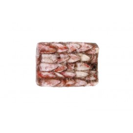 SQUID WHOLE ROUND 80UP